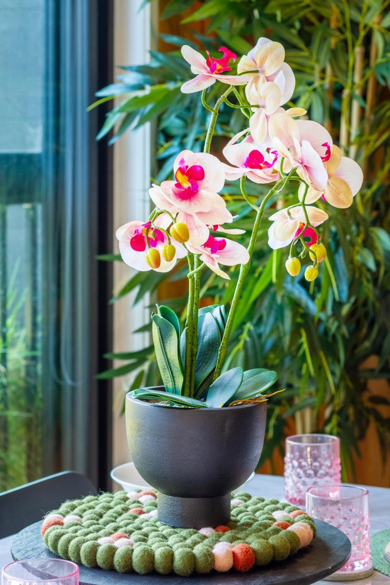 Cozy 1-Bed Apartment With Park Views, Sleeps 4 Christchurch Eksteriør bilde
